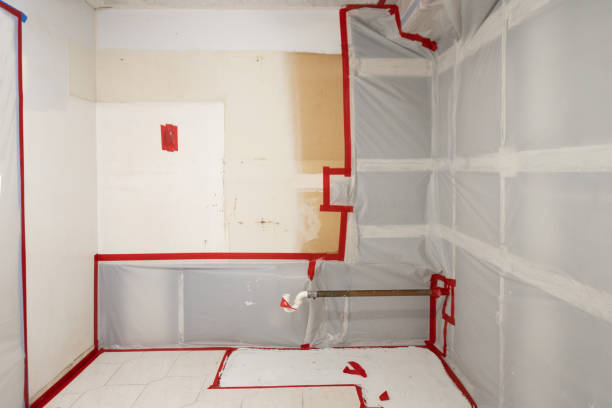 Best Commercial Mold Inspection  in USA